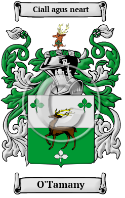 O'Tamany Family Crest/Coat of Arms