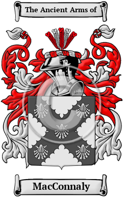 MacConnaly Family Crest/Coat of Arms