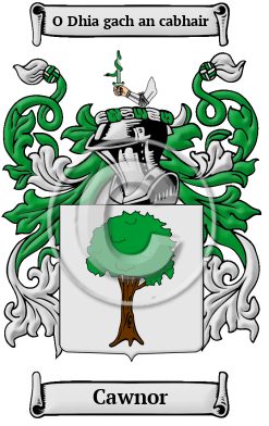 Cawnor Family Crest/Coat of Arms