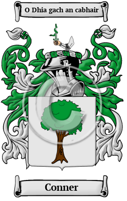Conner Family Crest/Coat of Arms