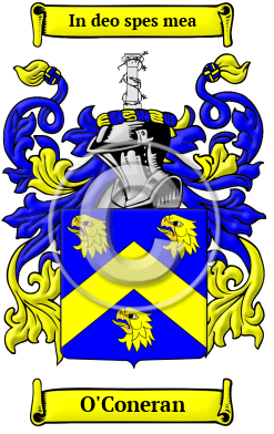 O'Coneran Family Crest/Coat of Arms