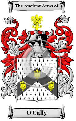 O'Cully Family Crest Download (JPG) Heritage Series - 300 DPI