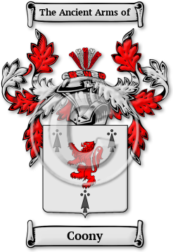 Coony Family Crest Download (JPG) Legacy Series - 600 DPI