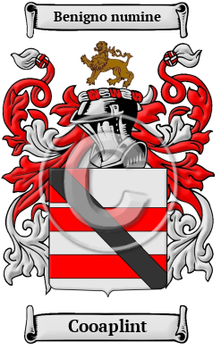 Cooaplint Family Crest/Coat of Arms