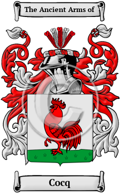 Cocq Family Crest/Coat of Arms