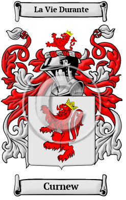 Curnew Family Crest/Coat of Arms