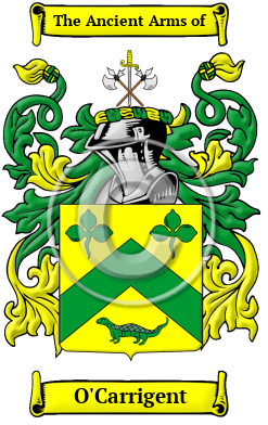 O'Carrigent Family Crest/Coat of Arms