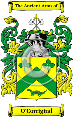 O'Corrigind Family Crest/Coat of Arms