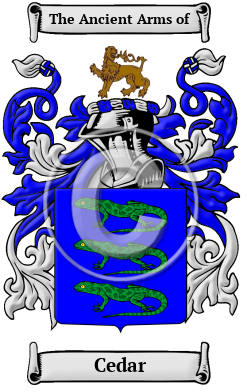 Cedar Family Crest/Coat of Arms