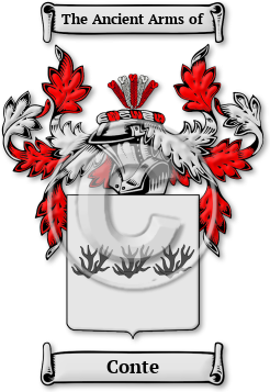 Conte Family Crest Download (jpg) Legacy Series - 150 DPI