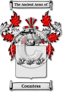Countess Family Crest Download (jpg) Legacy Series - 150 DPI