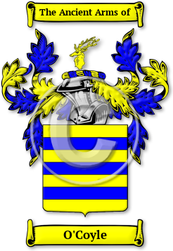 O'Coyle Family Crest Download (JPG) Legacy Series - 600 DPI