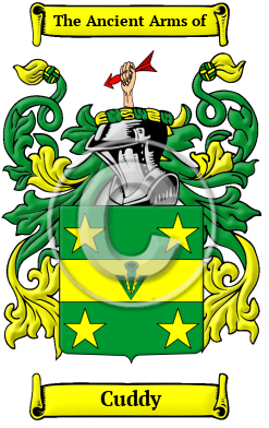 Cuddy Family Crest/Coat of Arms