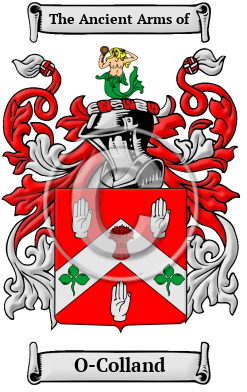 O-Colland Family Crest/Coat of Arms