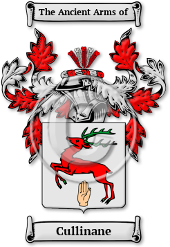 Cullinane Family Crest Download (jpg) Legacy Series - 150 DPI