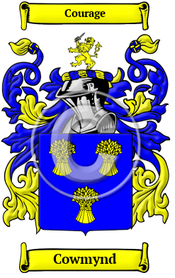 Cowmynd Family Crest/Coat of Arms