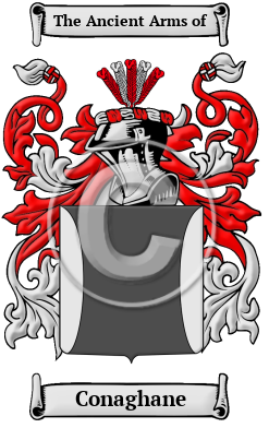 Conaghane Family Crest/Coat of Arms