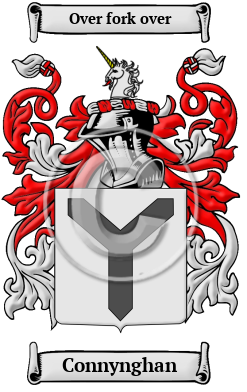 Connynghan Family Crest/Coat of Arms