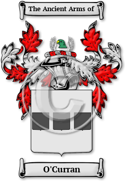 O'Curran Family Crest Download (JPG) Legacy Series - 600 DPI