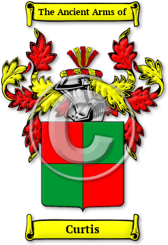 Curtis Family Crest Download (jpg) Legacy Series - 150 DPI