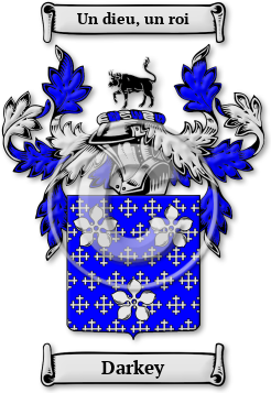 Darkey Family Crest Download (jpg) Legacy Series - 150 DPI