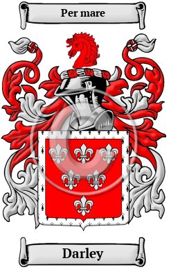 Darley Family Crest/Coat of Arms