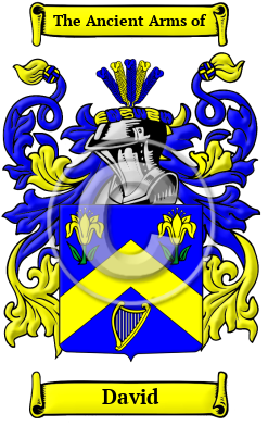David Family Crest/Coat of Arms