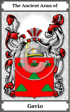 Gavio Family Crest Download (JPG) Book Plated - 600 DPI