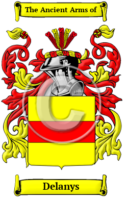 Delanys Family Crest/Coat of Arms