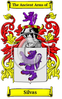 Silvas Family Crest/Coat of Arms
