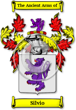 Silvio Family Crest Download (jpg) Legacy Series - 150 DPI