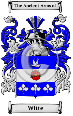 Witte Family Crest/Coat of Arms