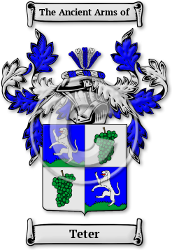 Teter Family Crest Download (jpg) Legacy Series - 150 DPI