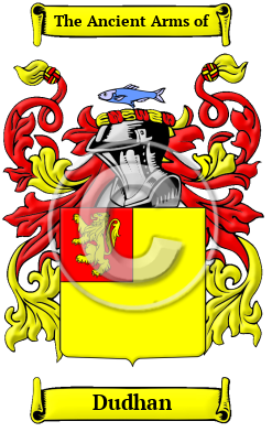 Dudhan Family Crest/Coat of Arms