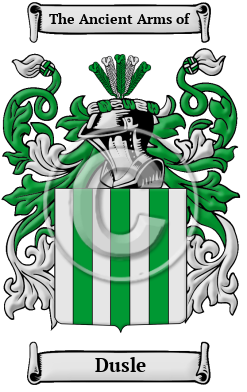 Dusle Family Crest/Coat of Arms