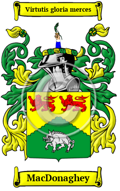 MacDonaghey Family Crest/Coat of Arms