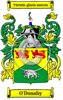 O'Donahy Family Crest/Coat of Arms