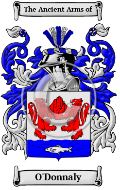 O'Donnaly Family Crest/Coat of Arms