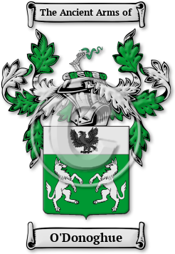 O'Donoghue Family Crest Download (jpg) Legacy Series - 150 DPI