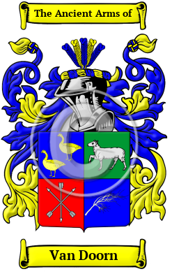Van Doorn Family Crest/Coat of Arms