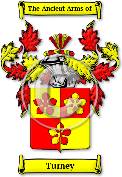 Turney Family Crest Download (jpg) Legacy Series - 150 DPI