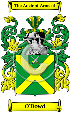 O'Dowd Family Crest/Coat of Arms