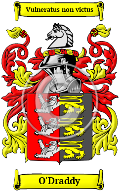O'Draddy Family Crest/Coat of Arms