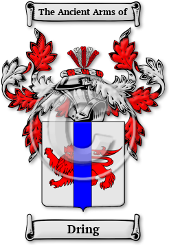 Dring Family Crest Download (jpg) Legacy Series - 150 DPI