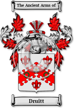 Druitt Family Crest Download (jpg) Legacy Series - 150 DPI