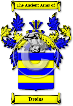 Dreiss Family Crest Download (jpg) Legacy Series - 150 DPI