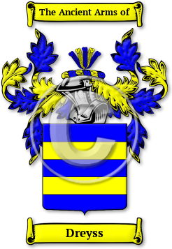 Dreyss Family Crest Download (jpg) Legacy Series - 150 DPI