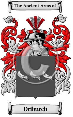 Driburch Family Crest/Coat of Arms