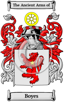 Boyes Family Crest/Coat of Arms