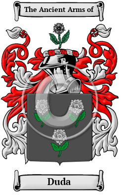 Duda Family Crest/Coat of Arms